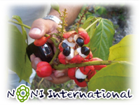 nĂKi