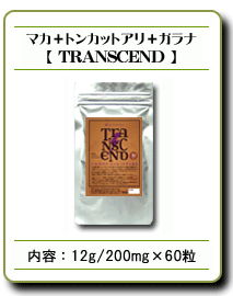 �}�J�{�g���J�b�g�A���{�K���i�yTRANSCEND�z